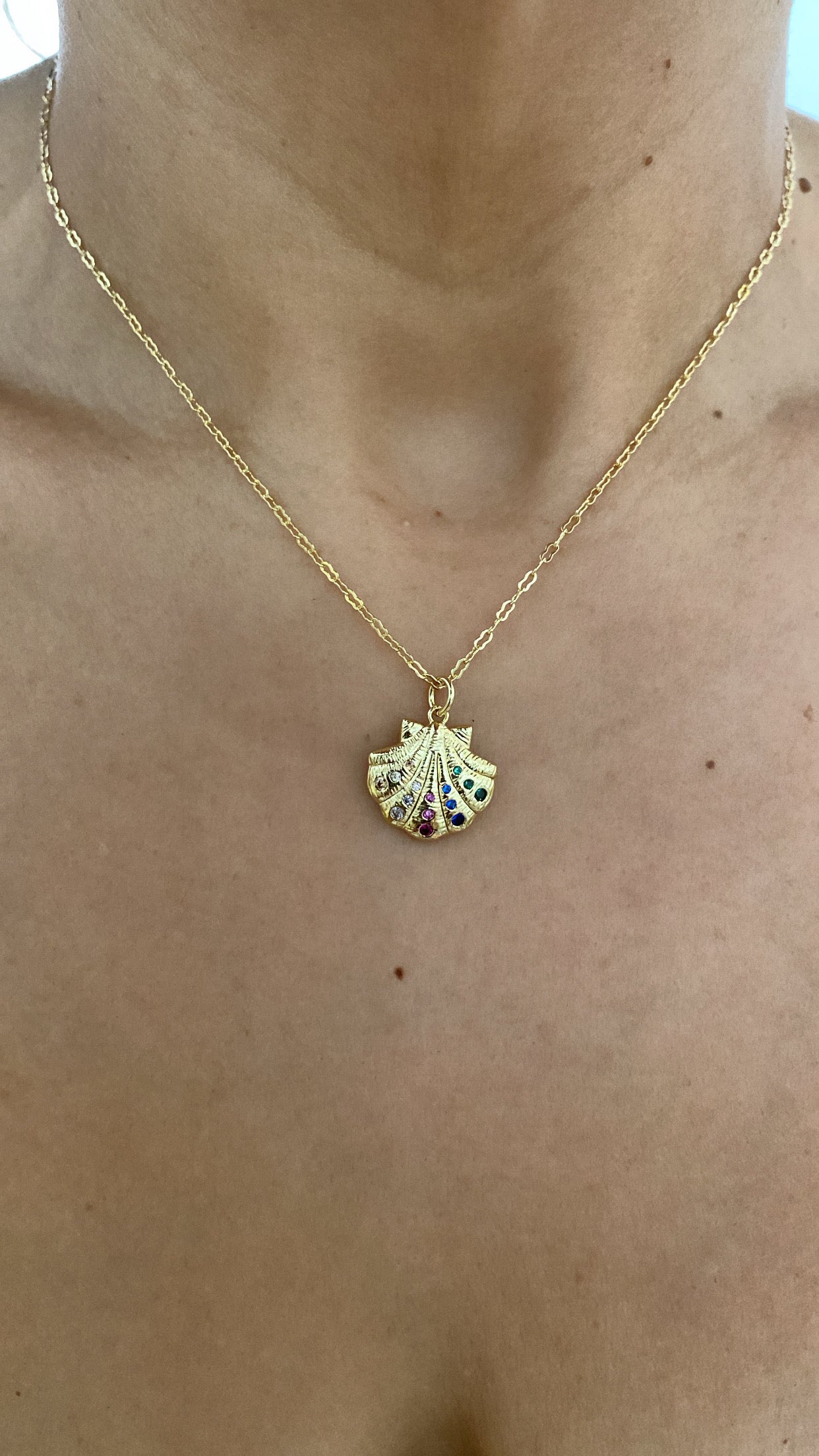 Rainbow Shell