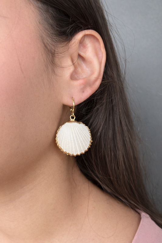 Seashell Earrings