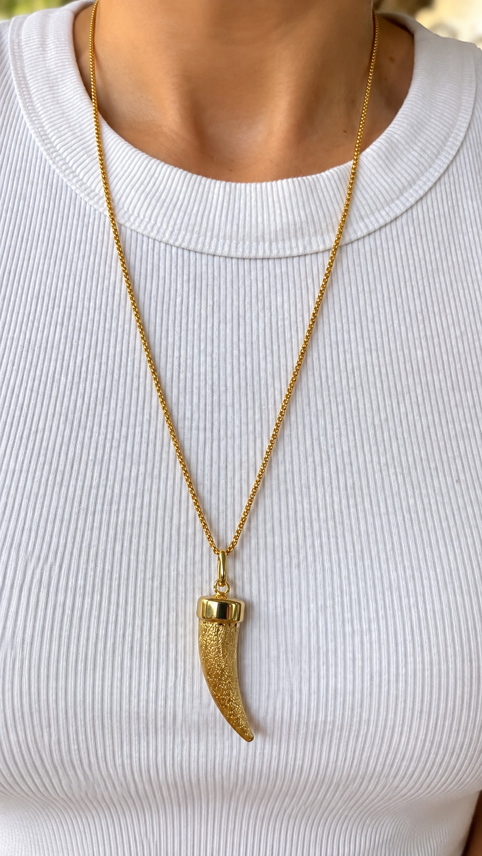 Long Cornicello Chain