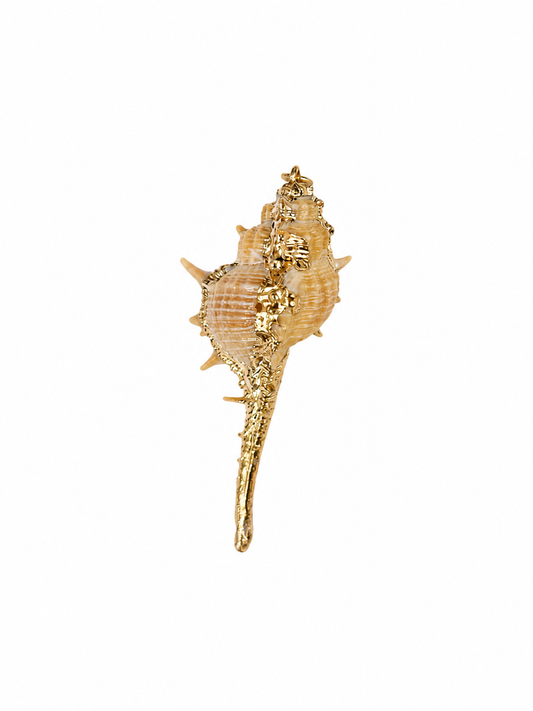 Natural Shell Pendant